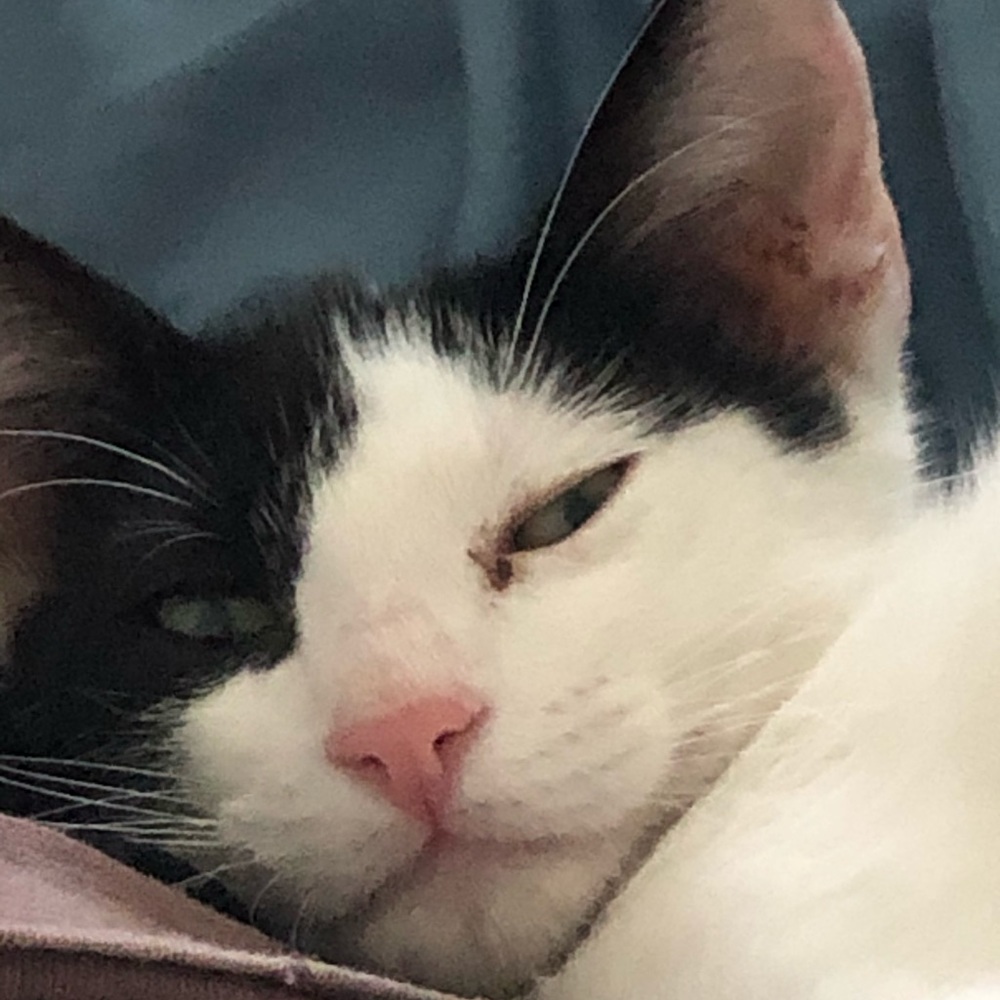 Meet your Posher, Maria